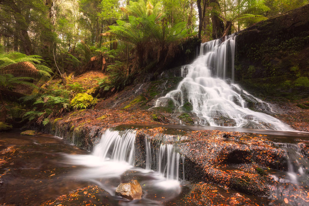Horseshoe Falls Tasmania