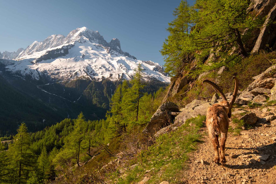 Hiking to Lac Blanc in Chamonix