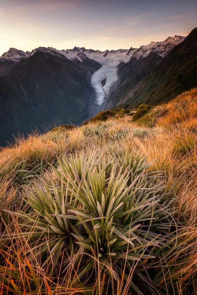 14 Best Day Hikes on the South Island of New Zealand 34 Alex Knob Hike New Zealand 1