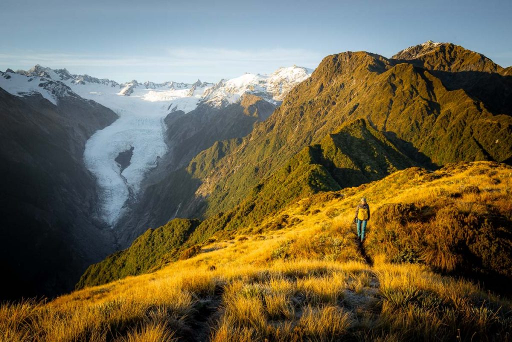 Alex Knob Hike New Zealand 16