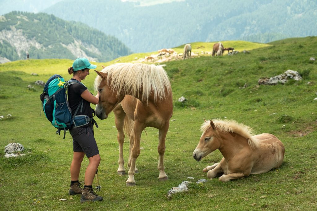 A Day By Day Guide To Hiking Alta Via 2 In The Italian Dolomites: Part 1 47 Alta Via 2 Day 6 6