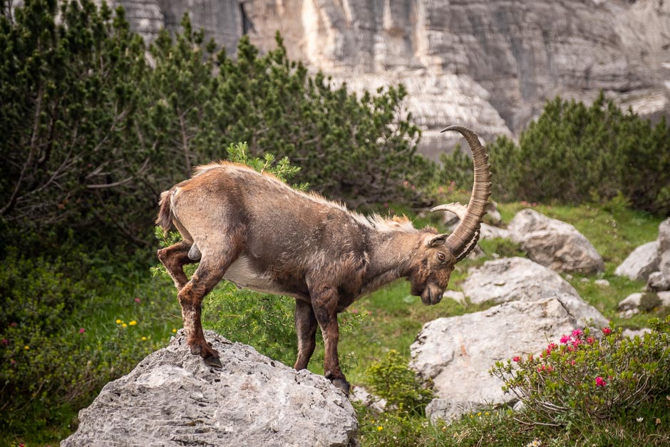 My Epic Adventure Along Alta Via 4 In The Italian Dolomites 23 Alta Via 4 Day 4 2 1