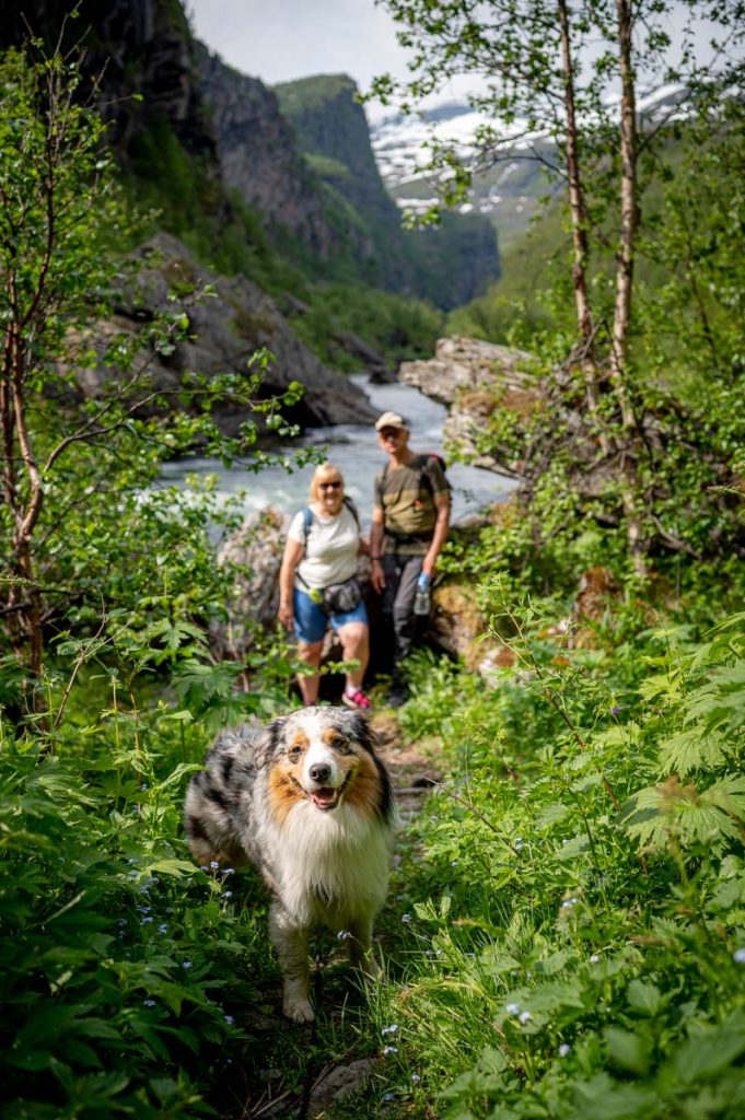 Aurlandsdalen Day Hike 11