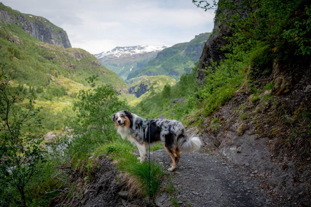 Aurlandsdalen Day Hike 16