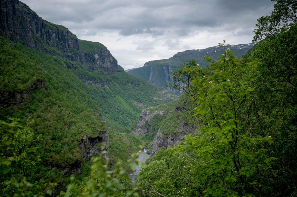 Aurlandsdalen Day Hike 19