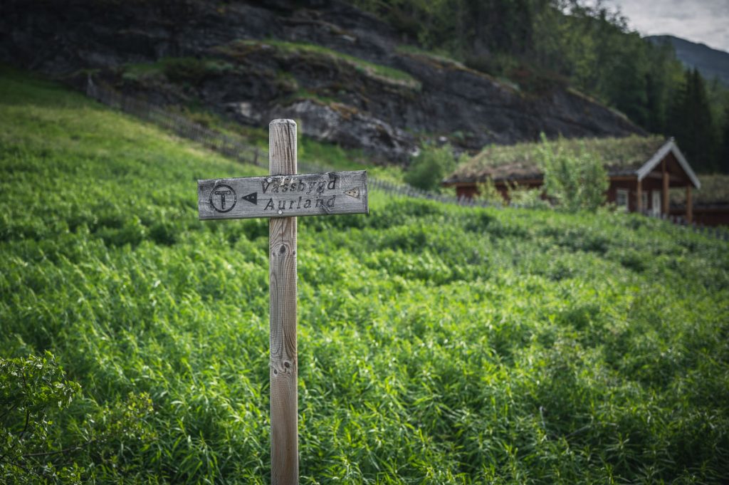 Aurlandsdalen Day Hike 2 1