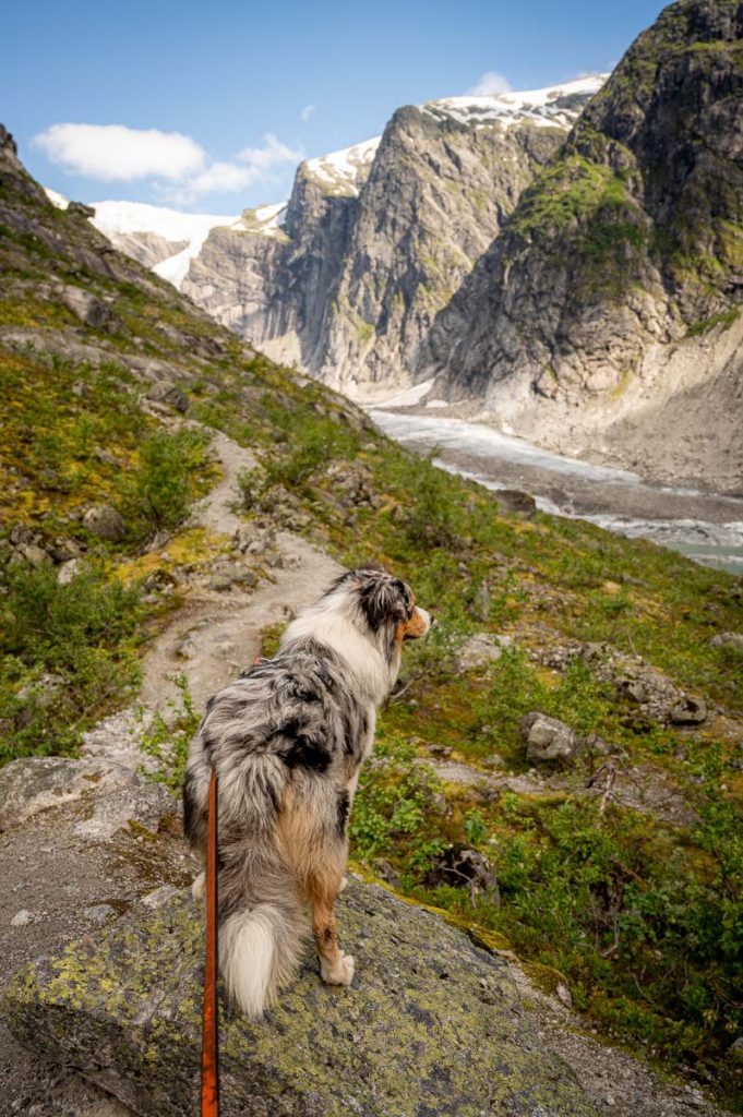 Austerdalsbreen Day Hike 7