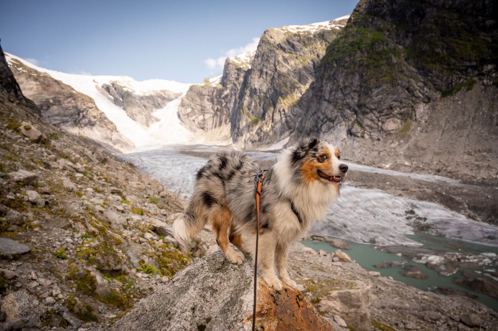 Austerdalsbreen Day Hike 8