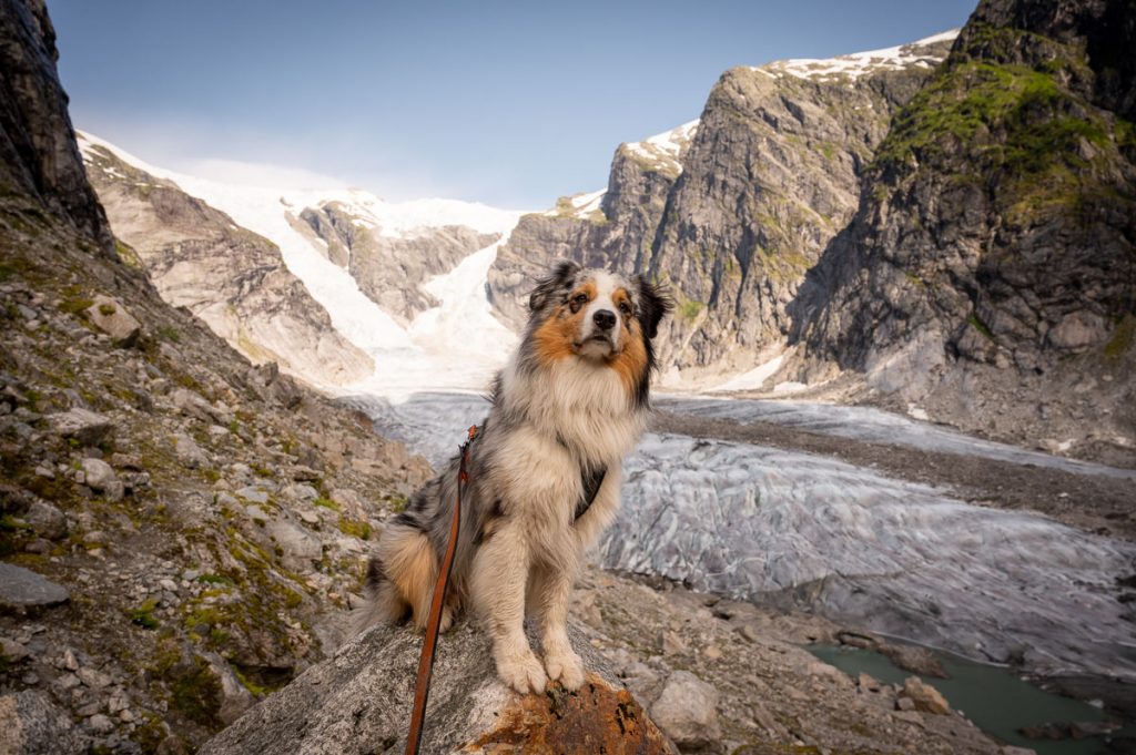 Austerdalsbreen Day Hike 9