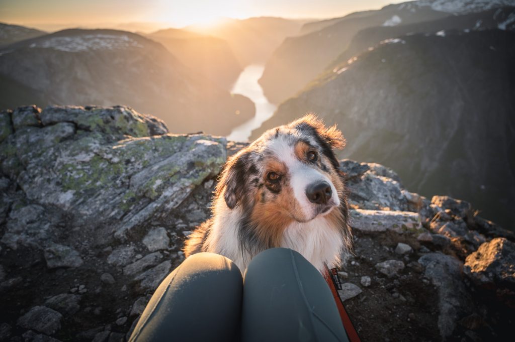 Beyond Trolltunga - The 30 Best Day Hikes And Via Ferratas In The Fjords Of Norway (Rated From Easy To Difficult) 11 Bakkanosi Day Hike Norway 20