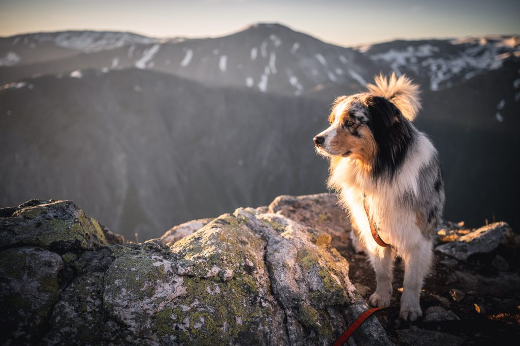 High Above The Beautiful Næroyfjord: Guide To Hiking Bakkanosi 1 Bakkanosi Day Hike Norway 23