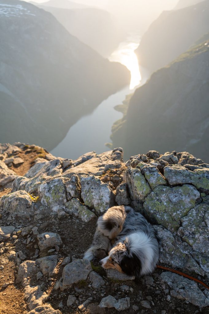 High Above The Beautiful Næroyfjord: Guide To Hiking Bakkanosi 16 Bakkanosi Day Hike Norway 30