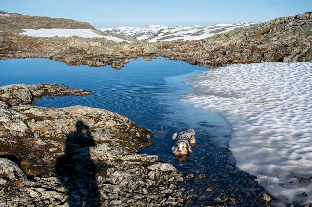 High Above The Beautiful Næroyfjord: Guide To Hiking Bakkanosi 9 Bakkanosi Day Hike Norway 38