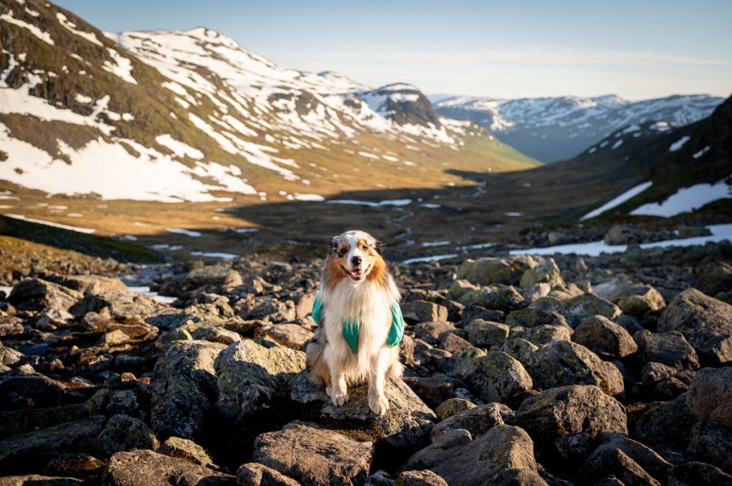 High Above The Beautiful Næroyfjord: Guide To Hiking Bakkanosi 4 Bakkanosi Day Hike Norway 5