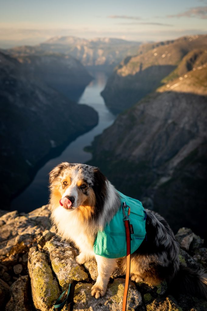 Bakkanosi Day Hike Norway 9