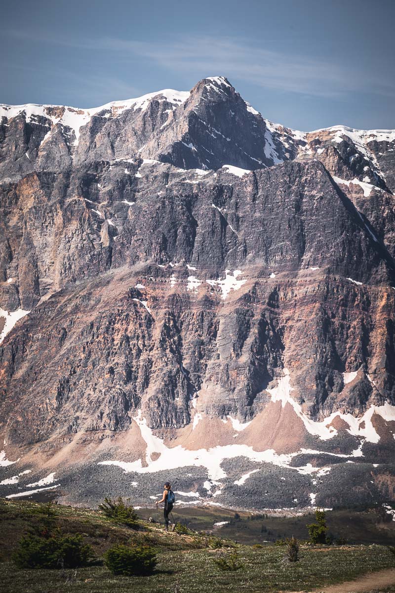 12 Awesome Hikes and Excursions in Jasper National Park in Canada 4 Bald Hills 15