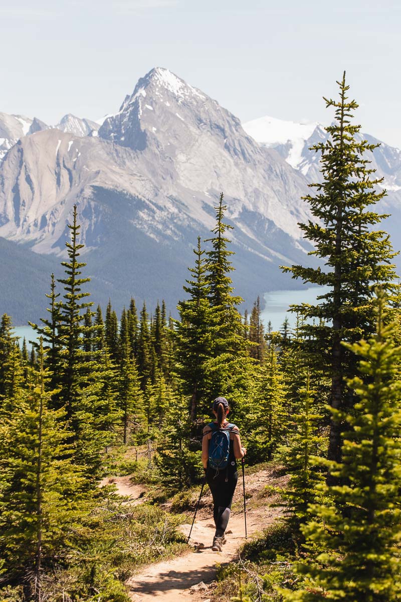 12 Awesome Hikes and Excursions in Jasper National Park in Canada 2 Bald Hills 29