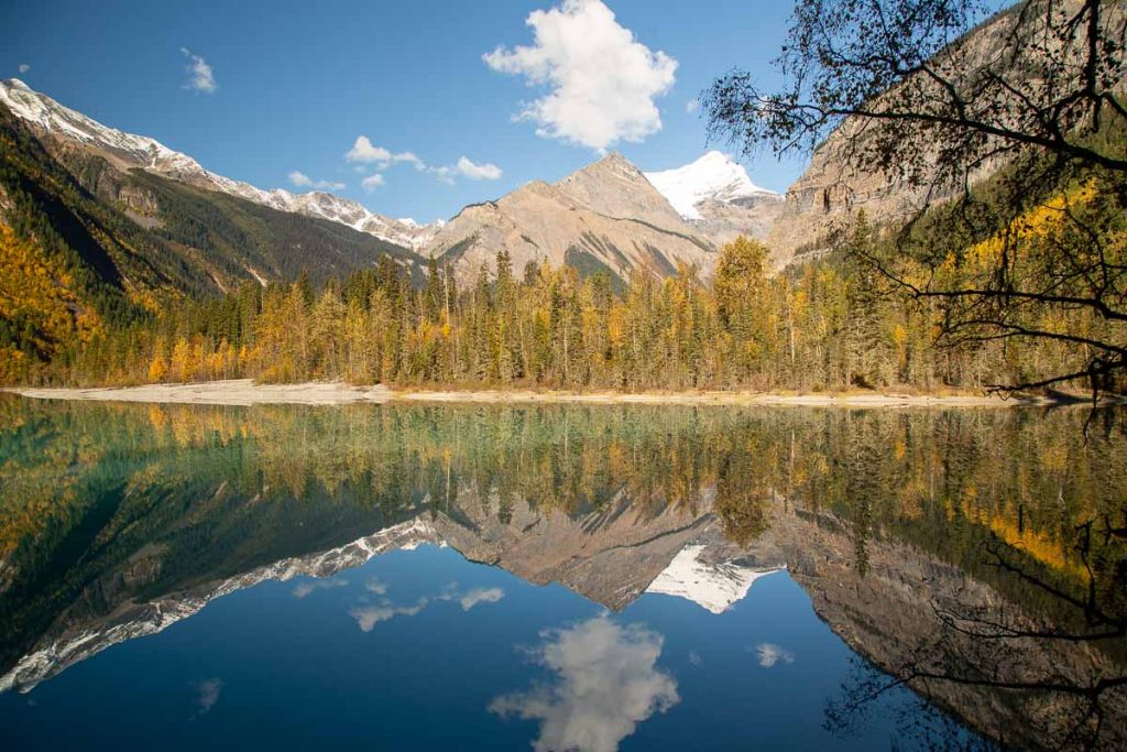 Autumn scene of blue skies, white clouds and yellow larch trees reflecting in the still Kinney lake in Mount Robson Provincial Park in Canada. 