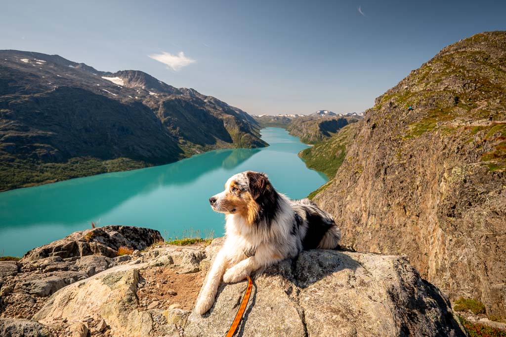 Besseggen day hike 19