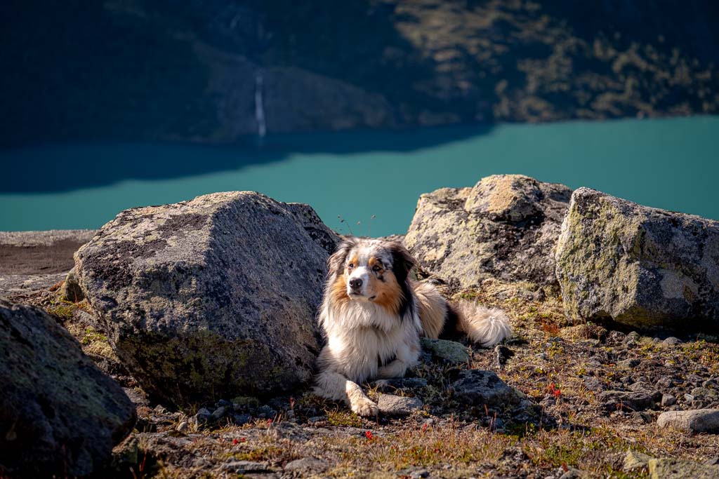 Epic Summer 2024 Guide To Besseggen Day Hike In Jotunheimen National Park 13 Besseggen day hike 8