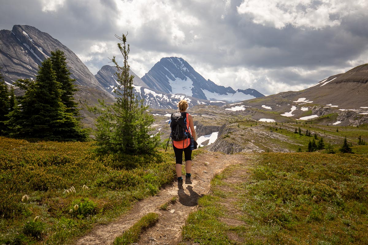 14 Day Hikes with Jaw-Dropping Views in Canmore and Kananaskis Country 33 Burstall Pass 12