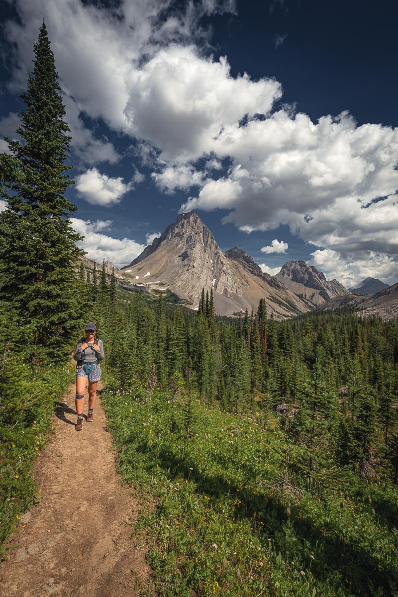 14 Day Hikes with Jaw-Dropping Views in Canmore and Kananaskis Country 34 Burstall Pass 6