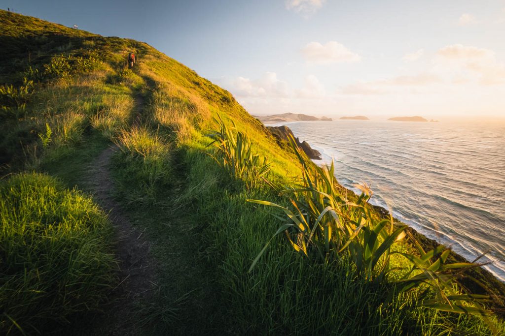 10 Awesome Day Hikes on the North Island of New Zealand 12 Cape Reinga 8