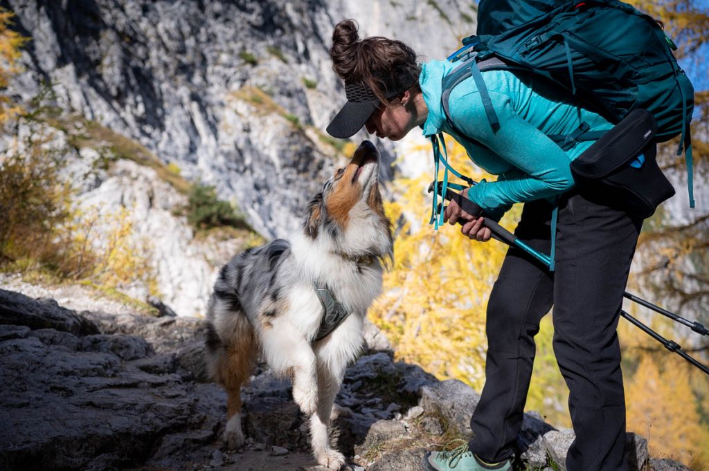 Exploring Tre Cime Nature Park Along The Croda Fiscalina Circuit Trail 4 Croda Fiscalina Circuit Autumn 16