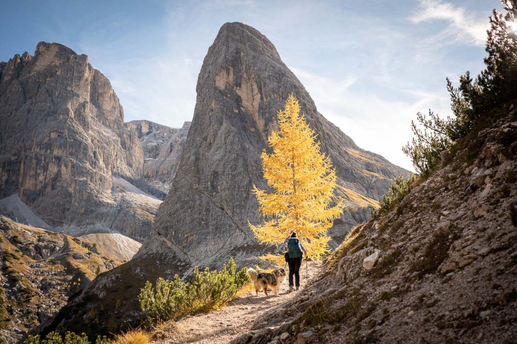 Exploring Tre Cime Nature Park Along The Croda Fiscalina Circuit Trail 3 Croda Fiscalina Circuit Autumn 18