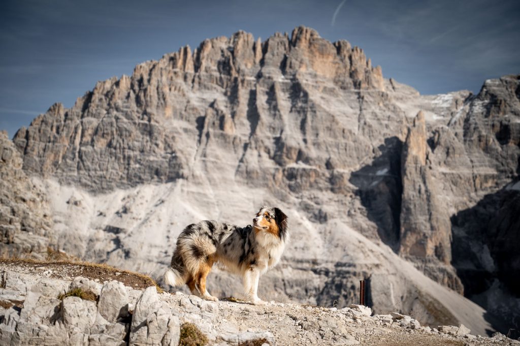 Exploring Tre Cime Nature Park Along The Croda Fiscalina Circuit Trail 18 Croda Fiscalina Circuit Autumn 32