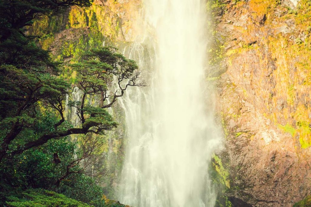 18 Most Photogenic Places on The South Island of New Zealand 16 Devils Punchbowl Waterfall 1