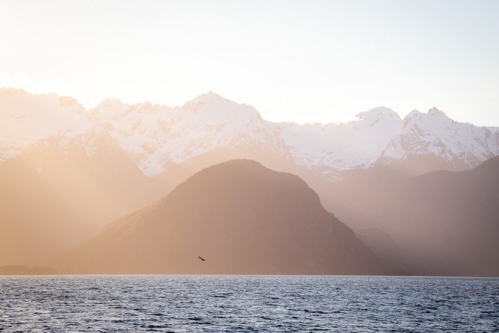 Doubtful Sound Cruise 18