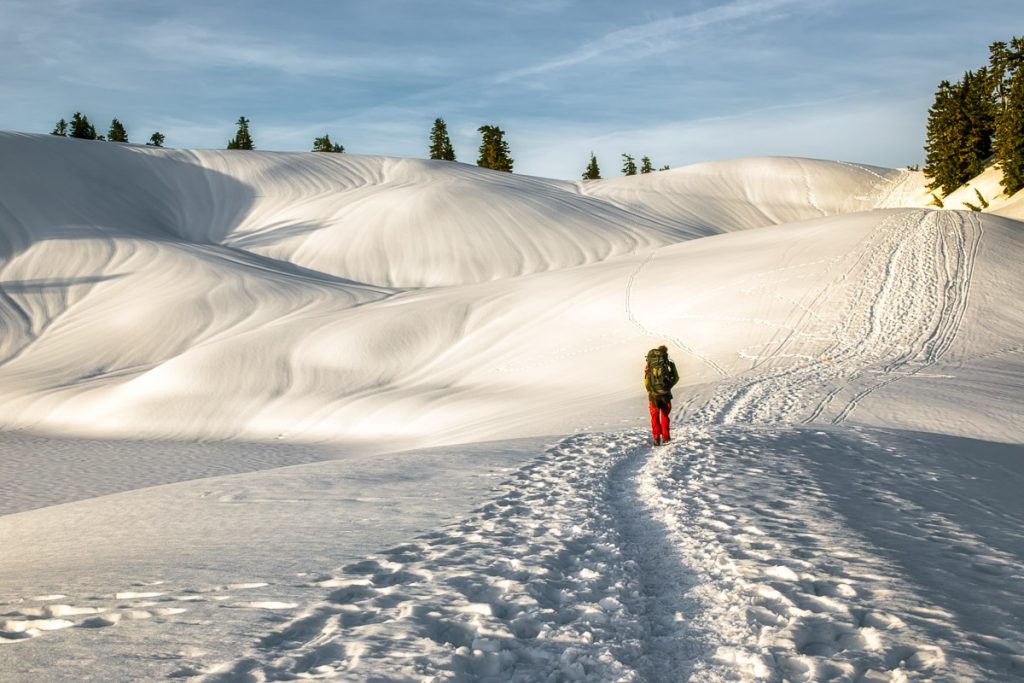 Elfin Lakes Trail 11