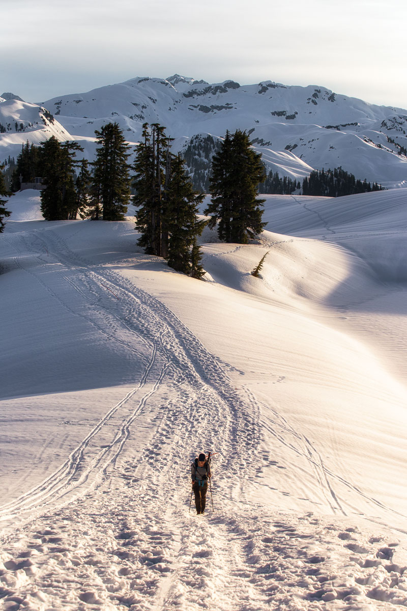 Elfin Lakes Trail 18