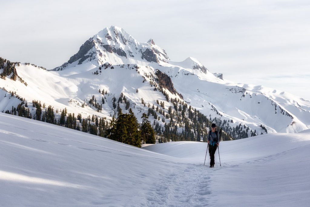 Elfin Lakes Trail 20