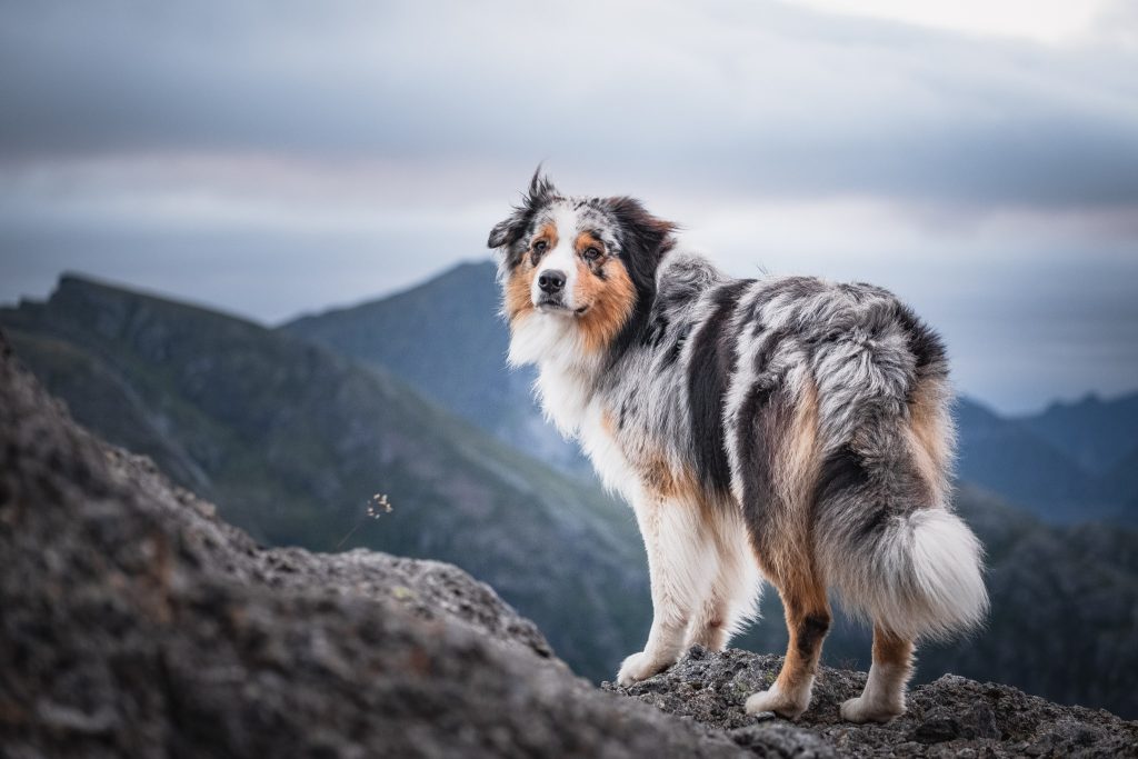 Hestraeva Lofoten Hike 2 2