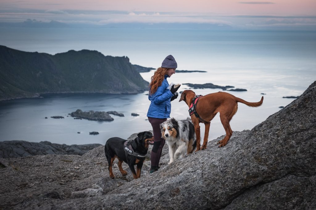 Hestraeva Lofoten Hike 6 2