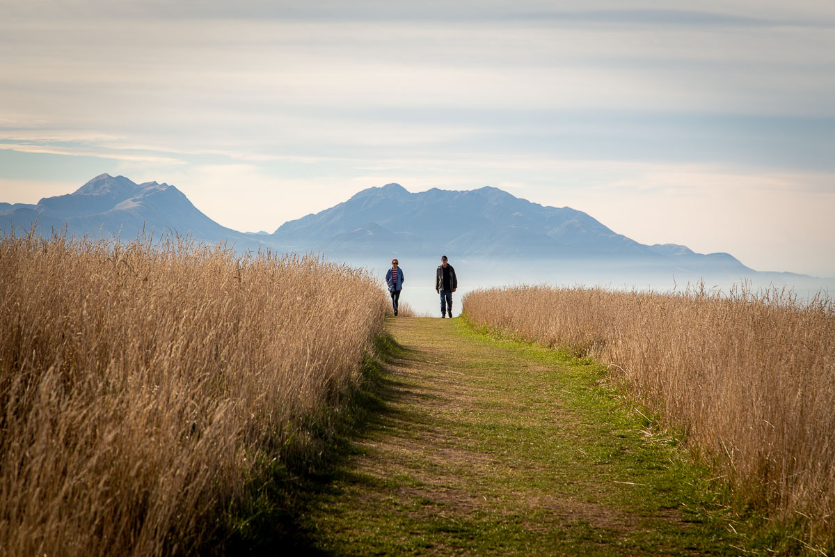 Kaikoura Peninsula Walkway 3