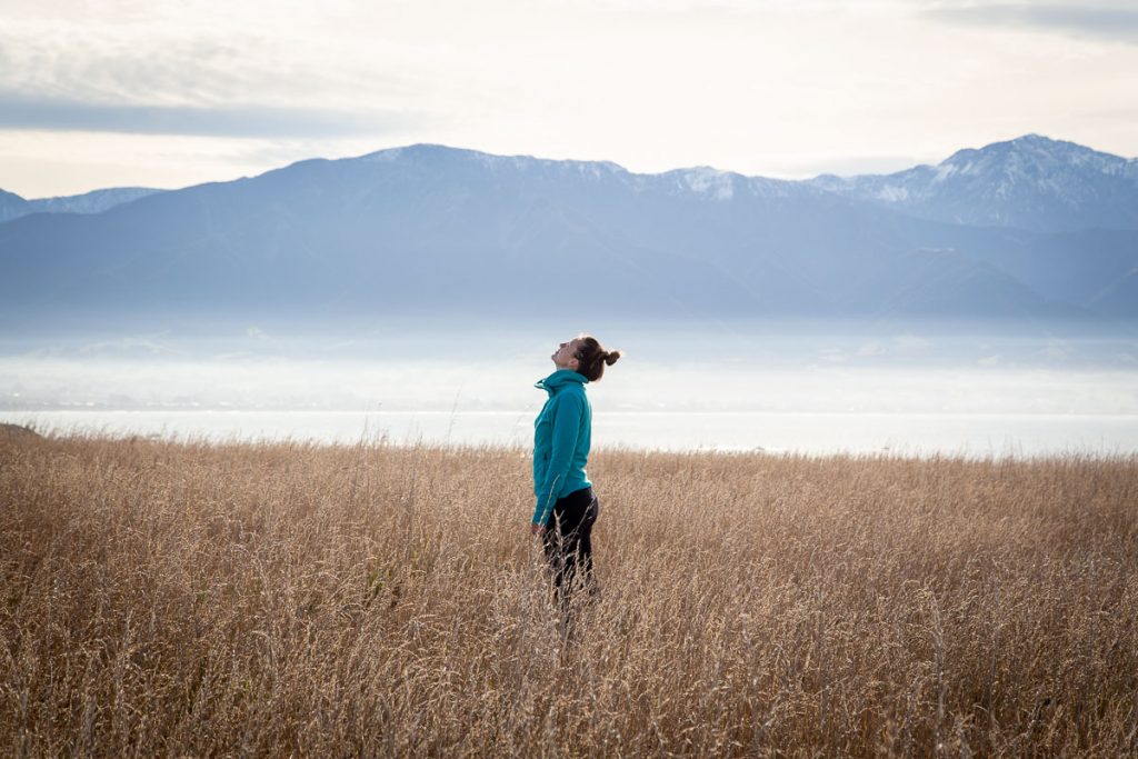 Kaikoura Peninsula Walkway 6