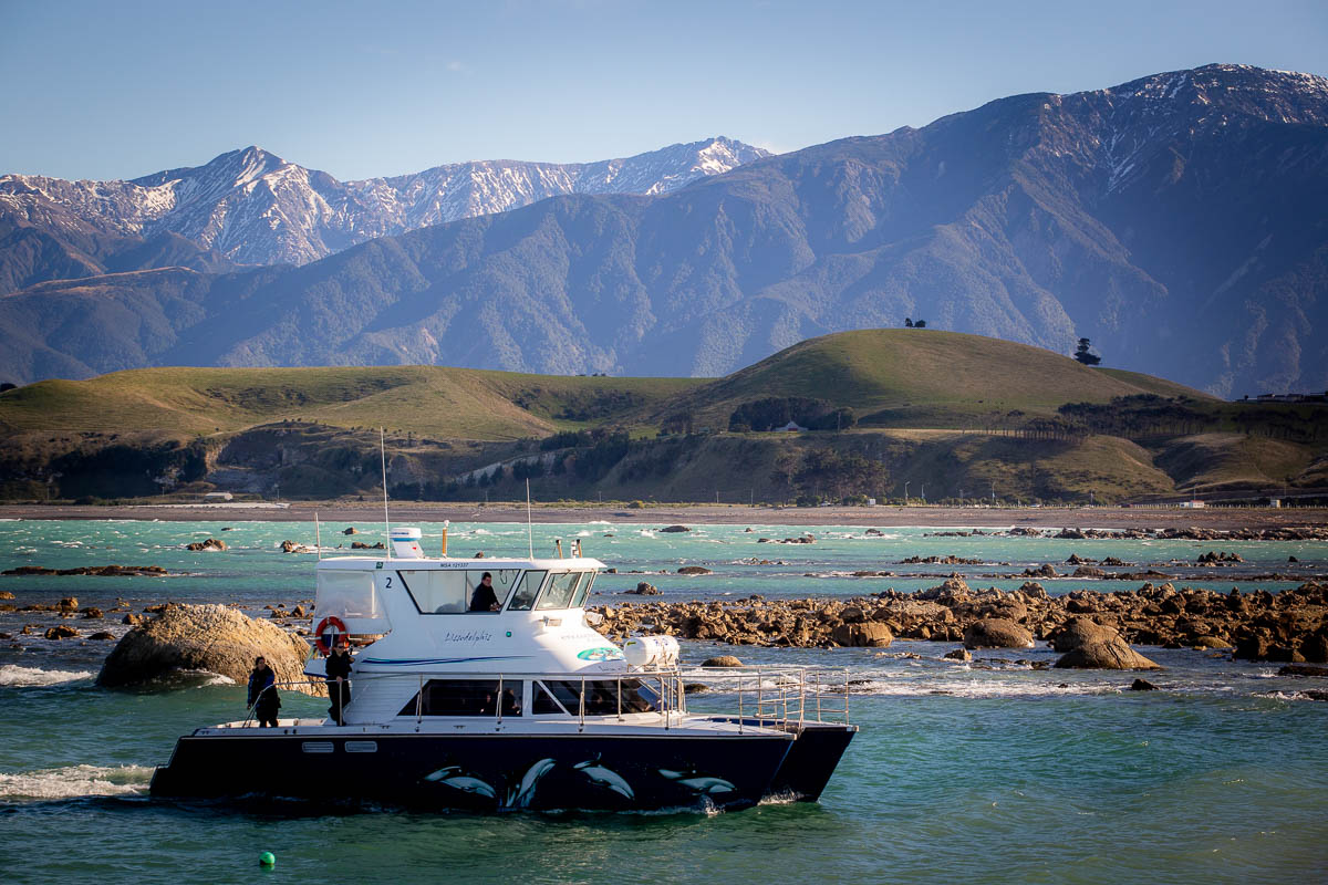 Kaikoura Whale Watching 3