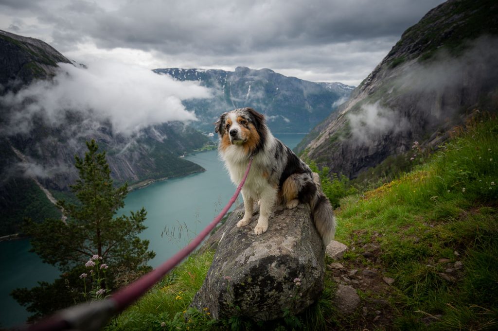 Beyond Trolltunga - The 30 Best Day Hikes And Via Ferratas In The Fjords Of Norway (Rated From Easy To Difficult) 24 Kjeasen 1