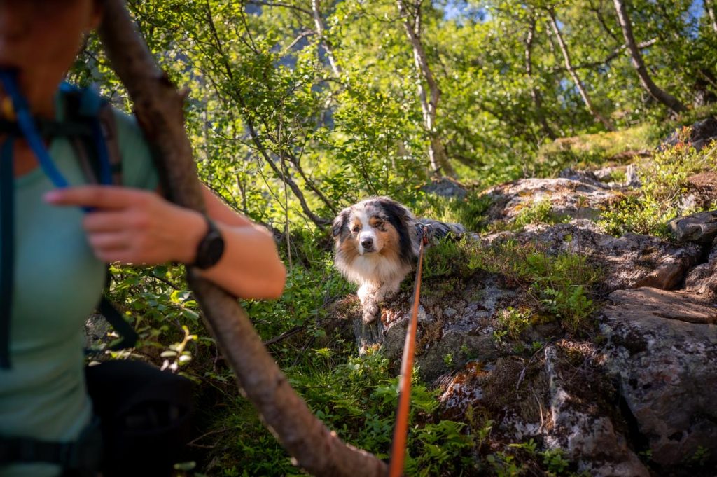 Klovane Day Hike Norway 45