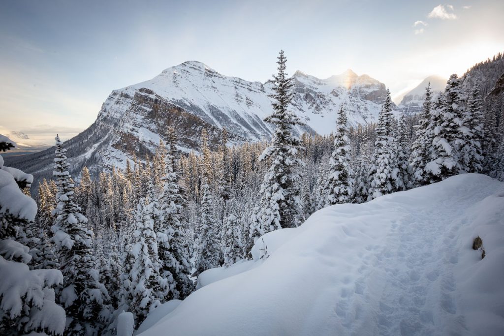 25 Photos That Prove Alberta Is A Winter Wonderland 2 Lake Agnes Winter Hike 11
