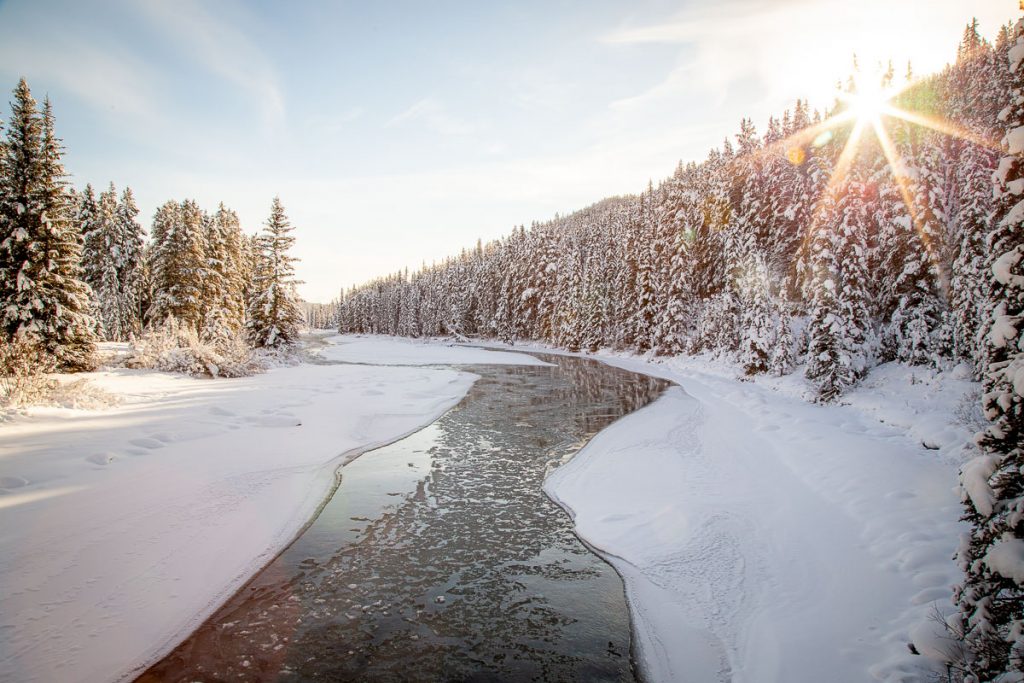 25 Photos That Prove Alberta Is A Winter Wonderland 17 Lake Louise Winter Xcountry Skiing 11