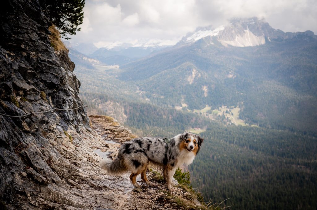 12-Step Guide To Lake Sorapiss Hike In The Italian Dolomites 2 Lake Sorapiss Trail May 8