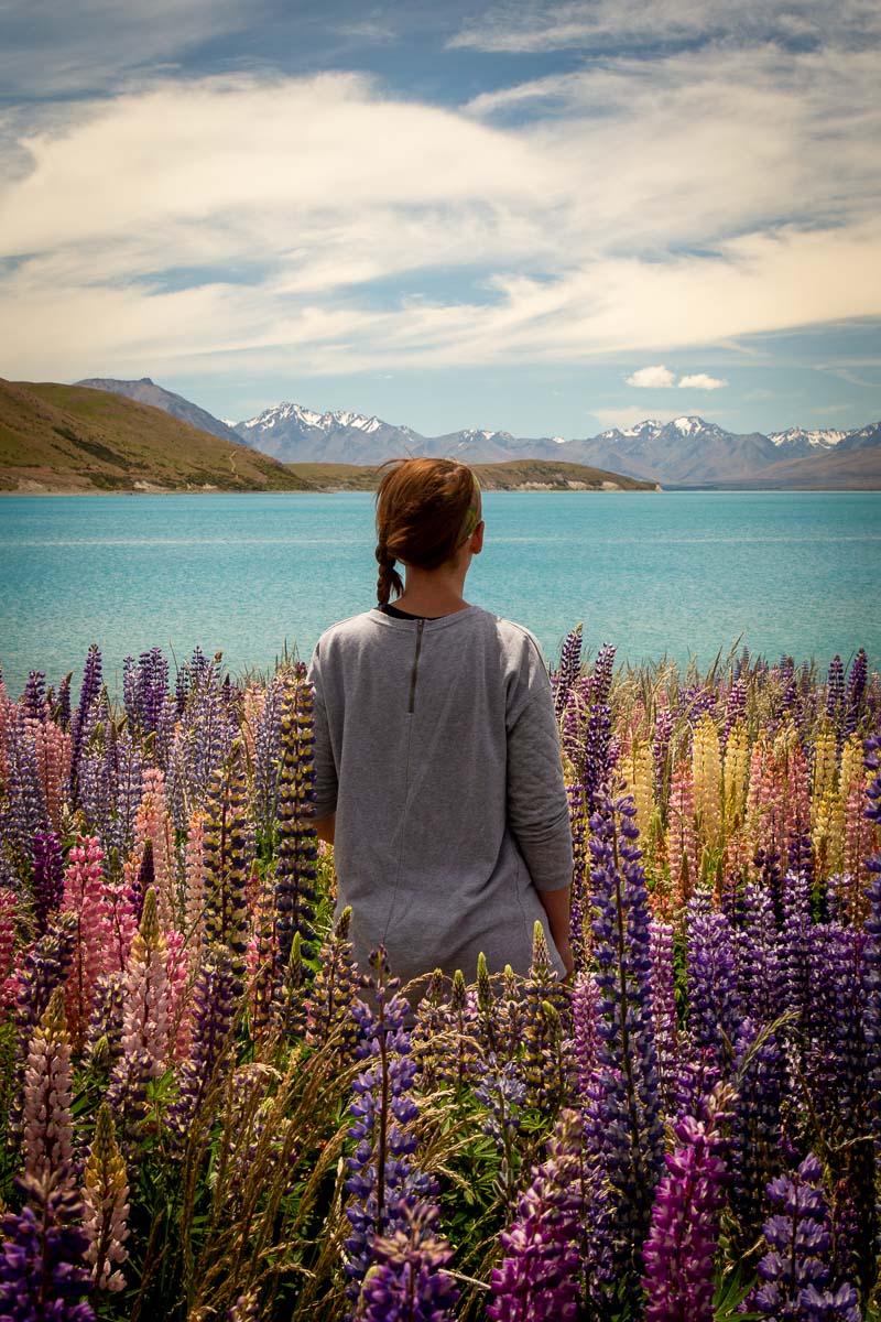New Zealand's North and South Island: Two Week Self Drive Road Trip Itinerary 25 Lake Tekapo 3