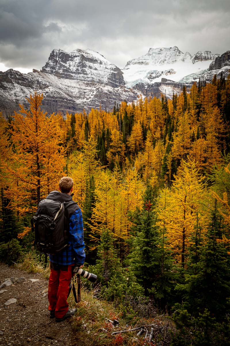 Larch Tree Valley 11