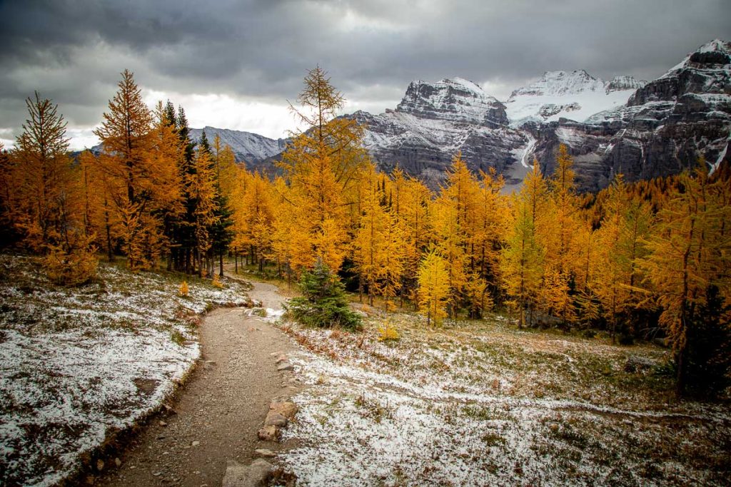 Ten Of My Personal Favorite Day Hikes In The Canadian Rockies 7 Larch Tree Valley 2 2