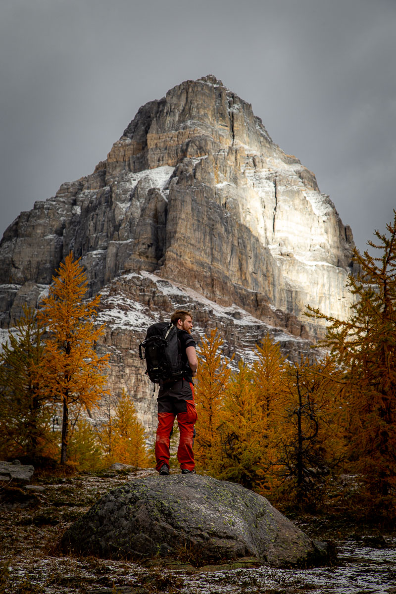 Larch Tree Valley 3 2