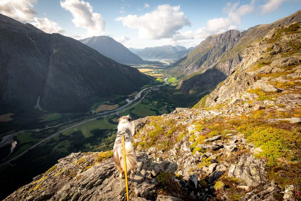 Litlefjellet Day Hike Norway 3